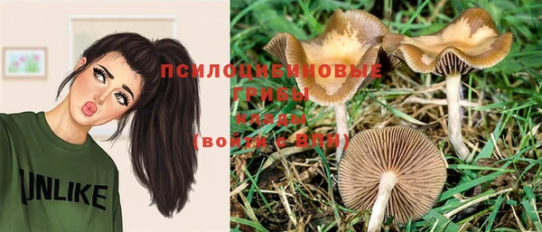 кокс Алексеевка