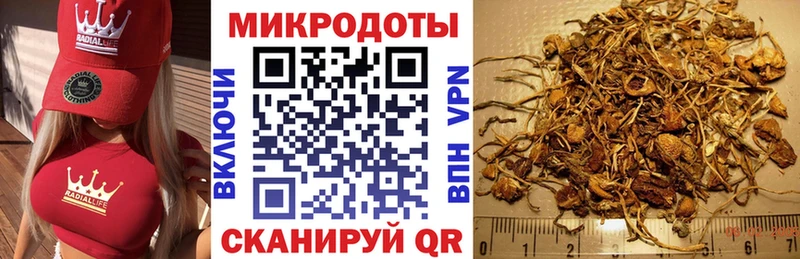 Псилоцибиновые грибы прущие грибы  mega вход  Копейск 